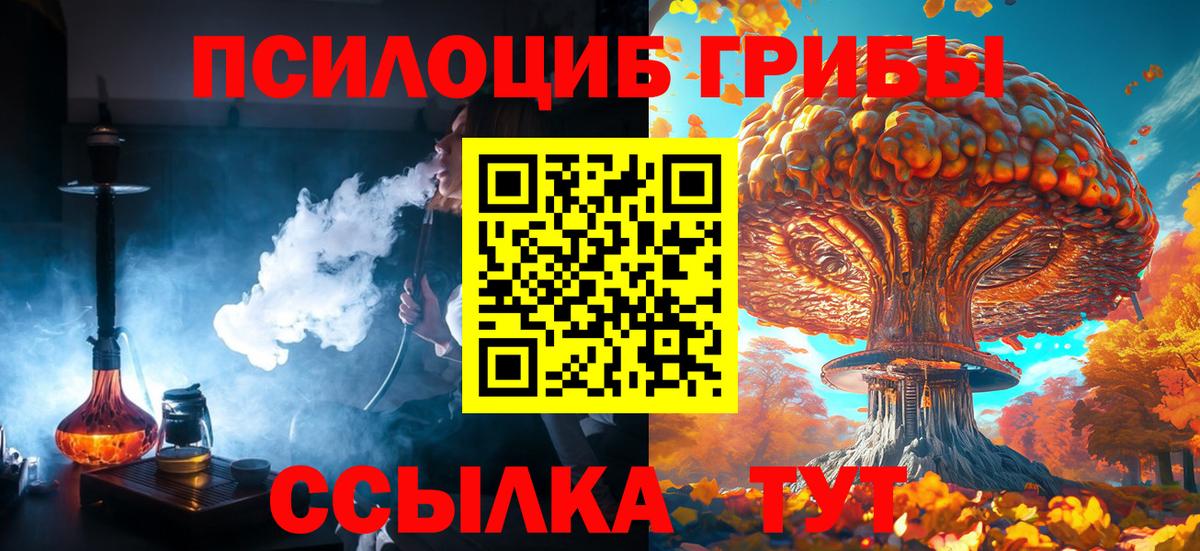 Карасук  Псилоцибиновые грибы Magic Shrooms  Вход с VPN 