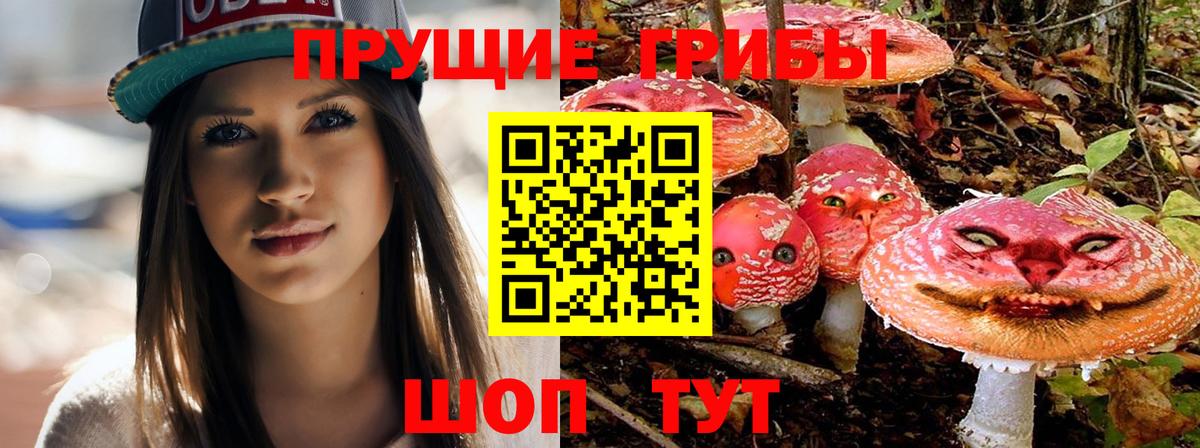 Псилоцибиновые грибы MAGIC MUSHROOMS Карасук